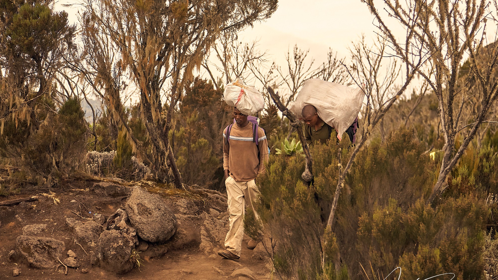 klimb mount kilimanjaro - tanzania afrika - ImagoSTUDIO ⎪ Andreas Strobl