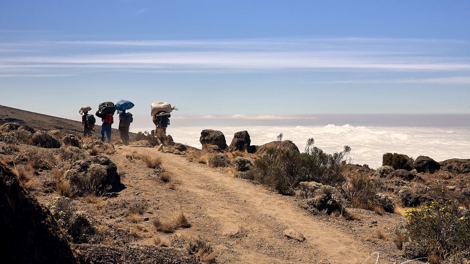 klimb mount kilimanjaro - tanzania afrika - ImagoSTUDIO ⎪ Andreas Strobl