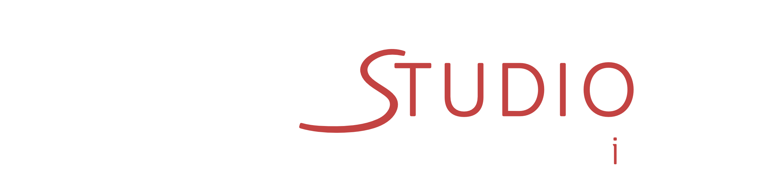 Logo ImagoSTUDIO - DarkBack - love for detail